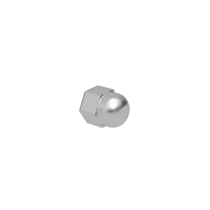 Blind Stainless Steel Nut M6