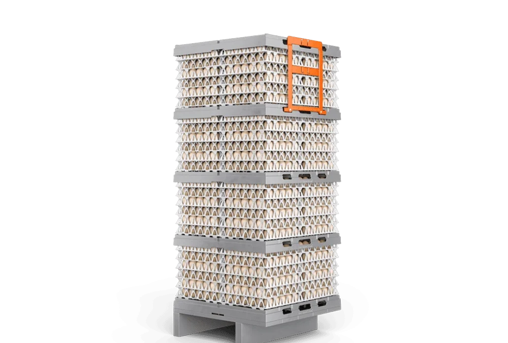 ECS Mini