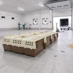 Pigeon Coop – Einstellung für Pigeon Coop