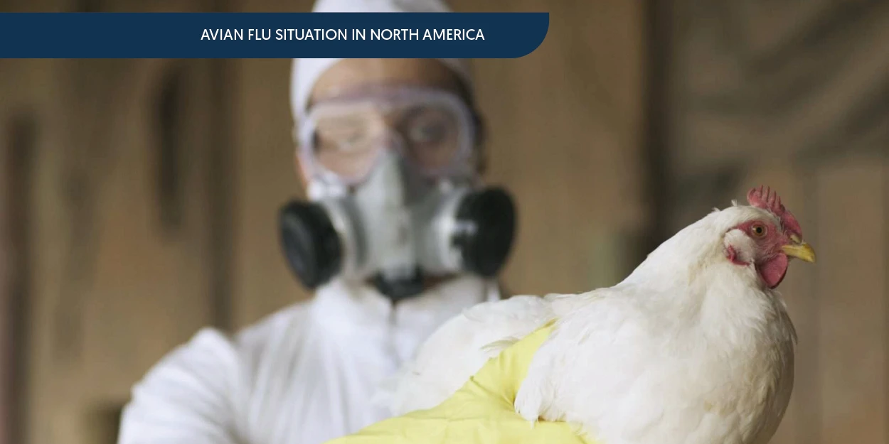 AvianFlu_Northamerica