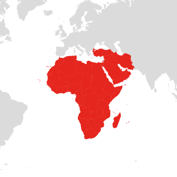 Middle East & Africa