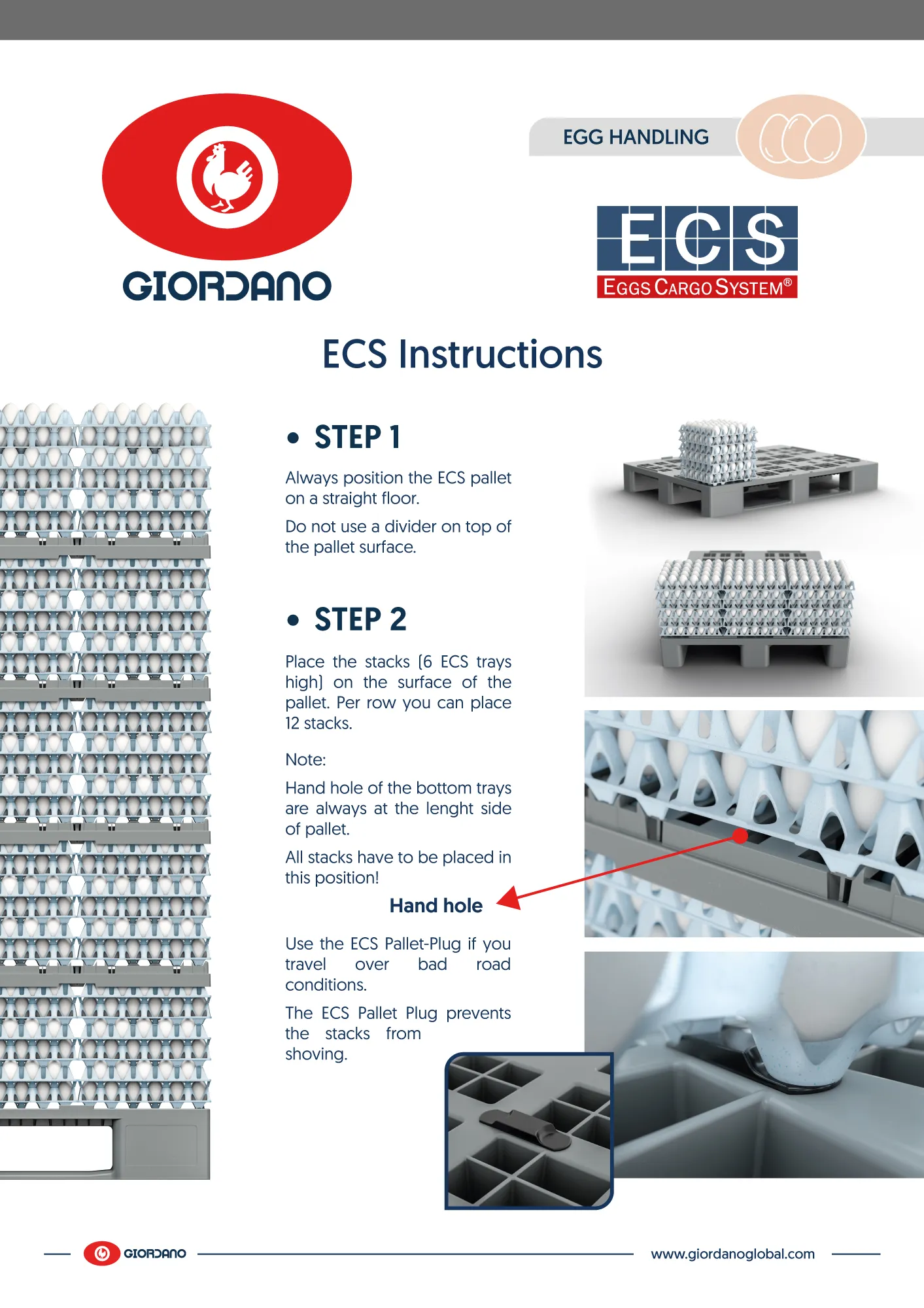 Istruzioni ECS