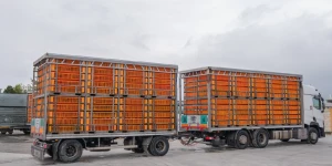 Article_Transport_INFB