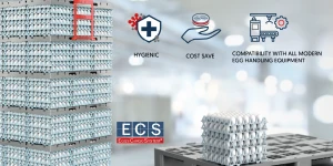 Layout_ImmaginiNewsSitoweb